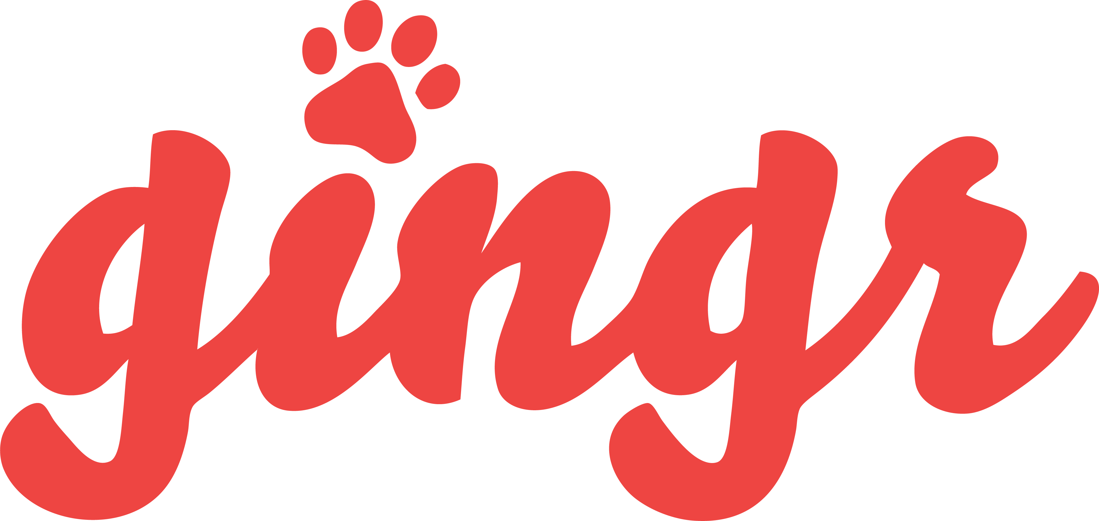Gingr