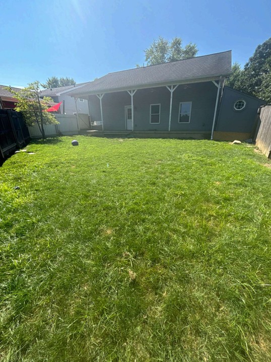 Back yard