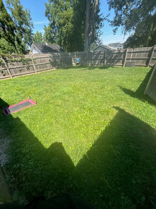 Grass yard