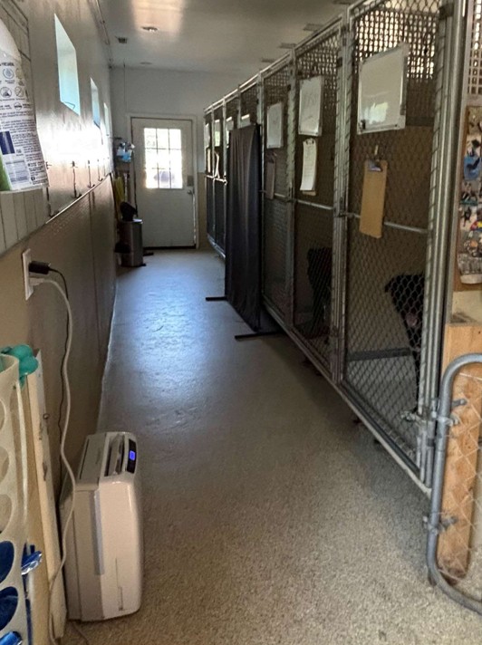 Overnight kennels
