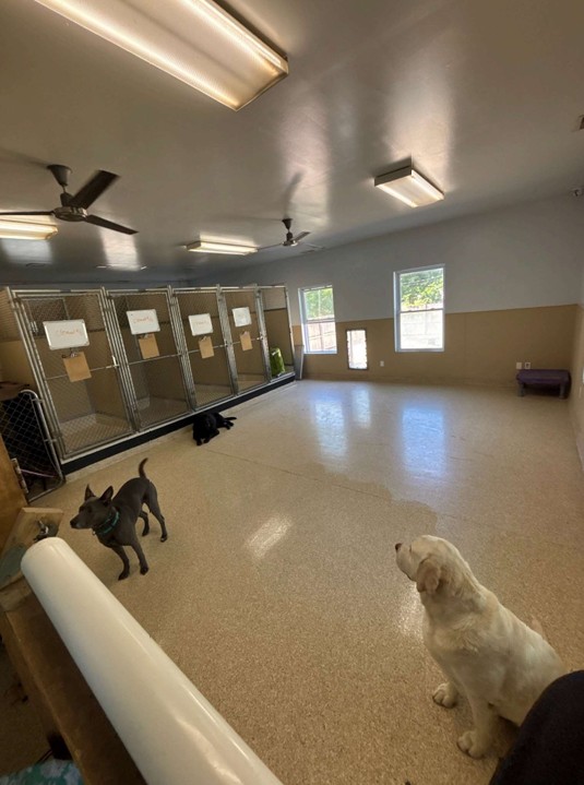 Training floor